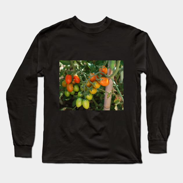 Date Tomatoes Ripening on Vine Long Sleeve T-Shirt by jojobob